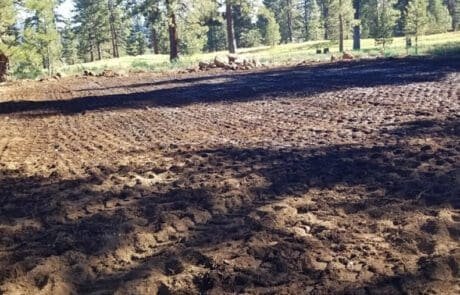 Dirt after has been graded.