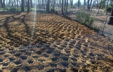 Grading and Compacted dirt in California